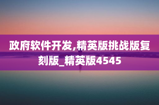 政府软件开发,精英版挑战版复刻版_精英版4545