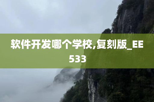 软件开发哪个学校,复刻版_EE533