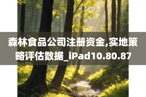 森林食品公司注册资金,实地策略评估数据_iPad10.80.87