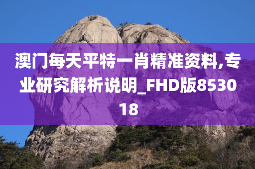 澳门每天平特一肖精准资料,专业研究解析说明_FHD版853018