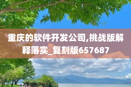 重庆的软件开发公司,挑战版解释落实_复刻版657687