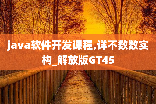 java软件开发课程,详不数数实构_解放版GT45