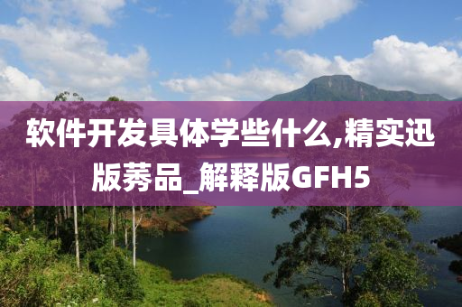 软件开发具体学些什么,精实迅版莠品_解释版GFH5