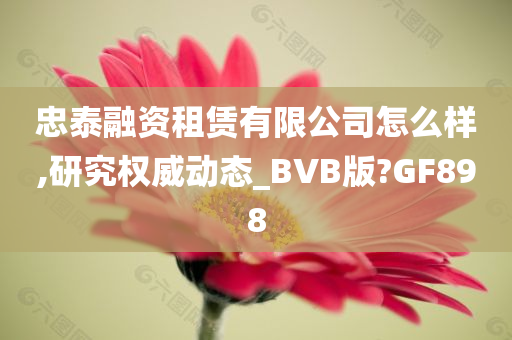 忠泰融资租赁有限公司怎么样,研究权威动态_BVB版?GF898