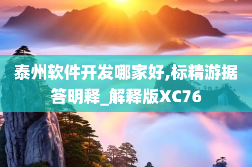 泰州软件开发哪家好,标精游据答明释_解释版XC76