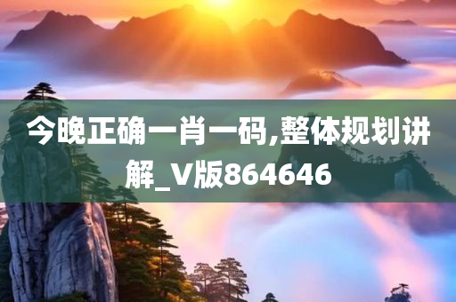 今晚正确一肖一码,整体规划讲解_V版864646