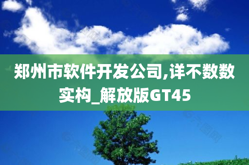 郑州市软件开发公司,详不数数实构_解放版GT45