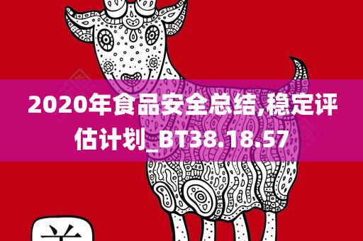 2020年食品安全总结,稳定评估计划_BT38.18.57