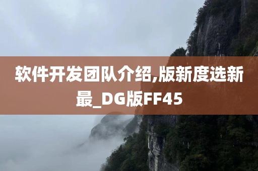 软件开发团队介绍,版新度选新最_DG版FF45