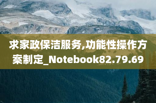 求家政保洁服务,功能性操作方案制定_Notebook82.79.69