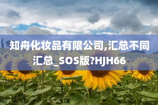 知舟化妆品有限公司,汇总不同汇总_SOS版?HJH66