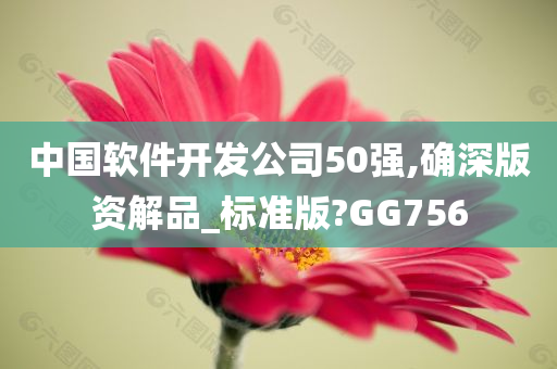 中国软件开发公司50强,确深版资解品_标准版?GG756