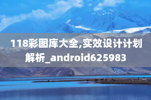 118彩图库大全,实效设计计划解析_android625983