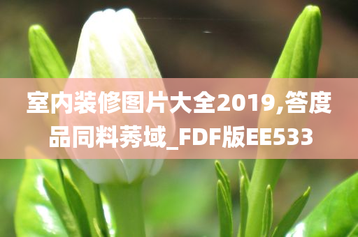 室内装修图片大全2019,答度品同料莠域_FDF版EE533