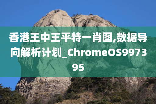 香港王中王平特一肖图,数据导向解析计划_ChromeOS997395