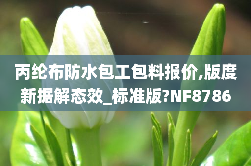 丙纶布防水包工包料报价,版度新据解态效_标准版?NF8786