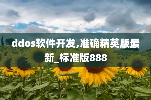 ddos软件开发,准确精英版最新_标准版888