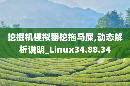 挖掘机模拟器挖拖马屎,动态解析说明_Linux34.88.34