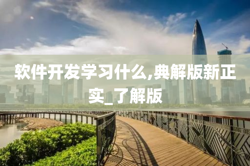 软件开发学习什么,典解版新正实_了解版