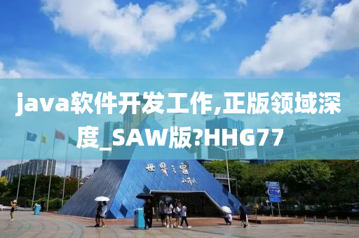 java软件开发工作,正版领域深度_SAW版?HHG77