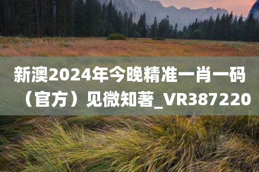 新澳2024年今晚精准一肖一码（官方）见微知著_VR387220