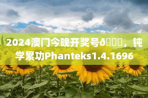 2024澳门今晚开奖号🐎，钝学累功Phanteks1.4.1696