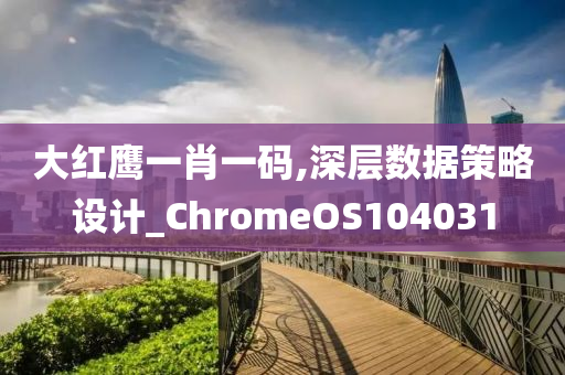 大红鹰一肖一码,深层数据策略设计_ChromeOS104031