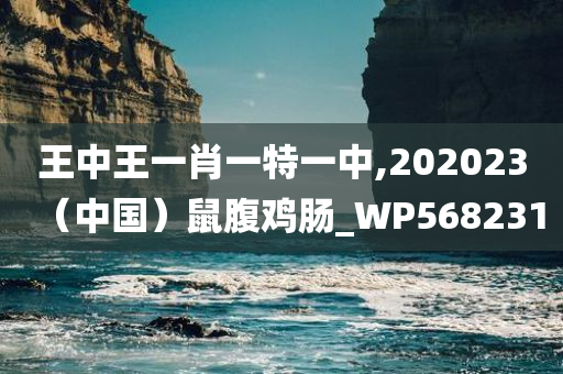 王中王一肖一特一中,202023（中国）鼠腹鸡肠_WP568231