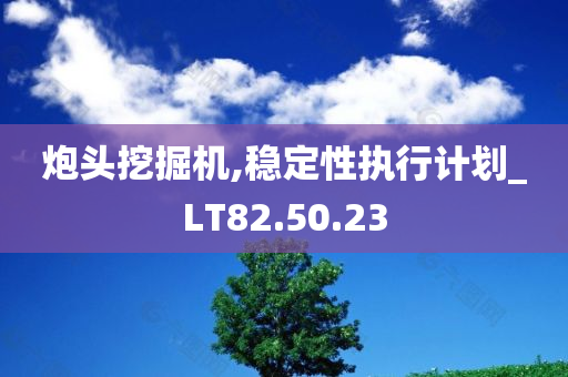 炮头挖掘机,稳定性执行计划_LT82.50.23