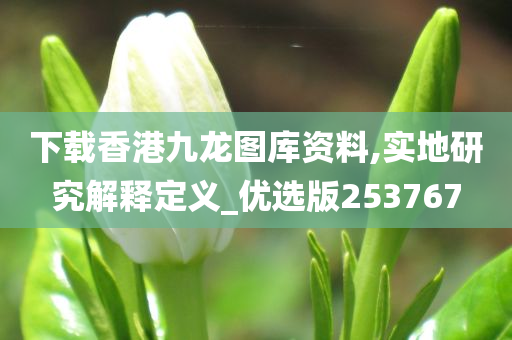 下载香港九龙图库资料,实地研究解释定义_优选版253767