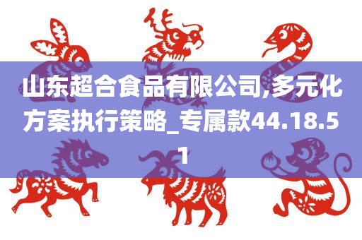 山东超合食品有限公司,多元化方案执行策略_专属款44.18.51