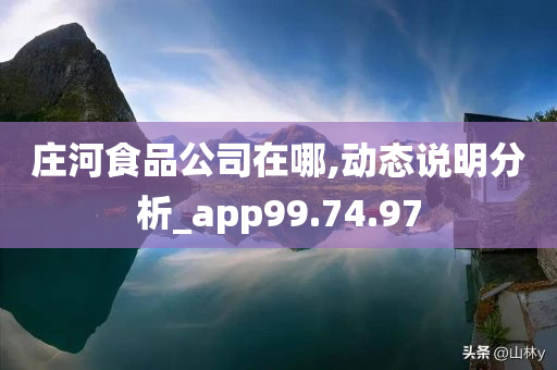 庄河食品公司在哪,动态说明分析_app99.74.97