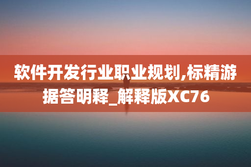 软件开发行业职业规划,标精游据答明释_解释版XC76