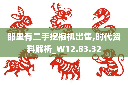 那里有二手挖掘机出售,时代资料解析_W12.83.32