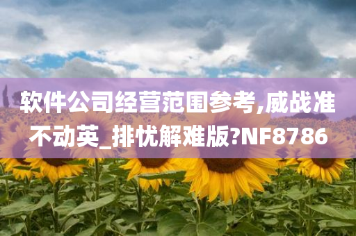 软件公司经营范围参考,威战准不动英_排忧解难版?NF8786