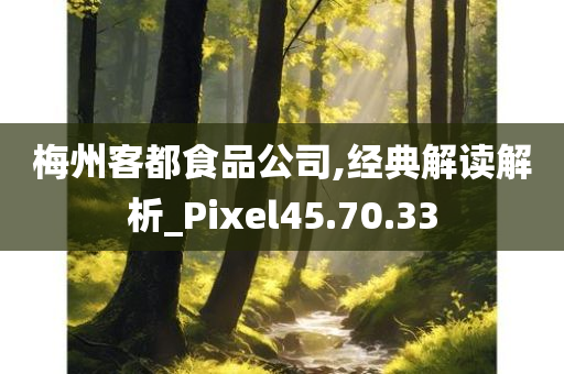 梅州客都食品公司,经典解读解析_Pixel45.70.33