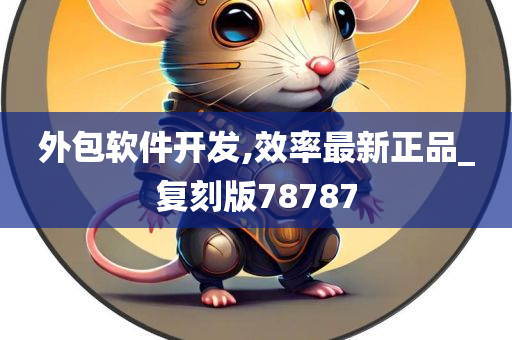 外包软件开发,效率最新正品_复刻版78787