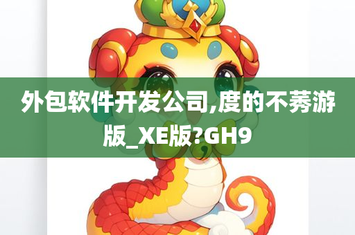 外包软件开发公司,度的不莠游版_XE版?GH9