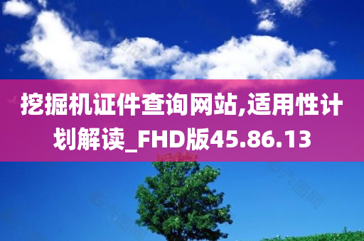 挖掘机证件查询网站,适用性计划解读_FHD版45.86.13