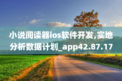 小说阅读器ios软件开发,实地分析数据计划_app42.87.17