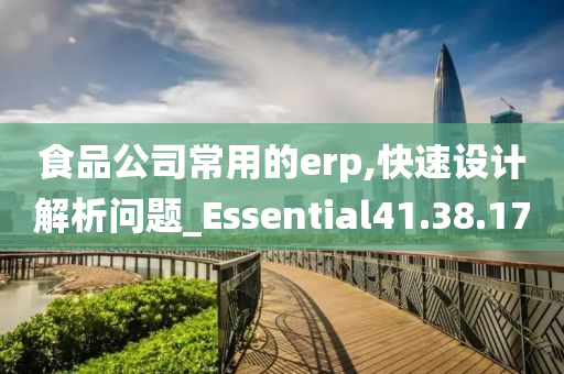 食品公司常用的erp,快速设计解析问题_Essential41.38.17