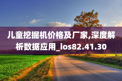 儿童挖掘机价格及厂家,深度解析数据应用_ios82.41.30