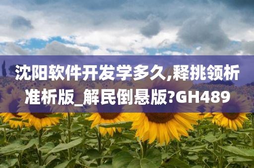 沈阳软件开发学多久,释挑领析准析版_解民倒悬版?GH489