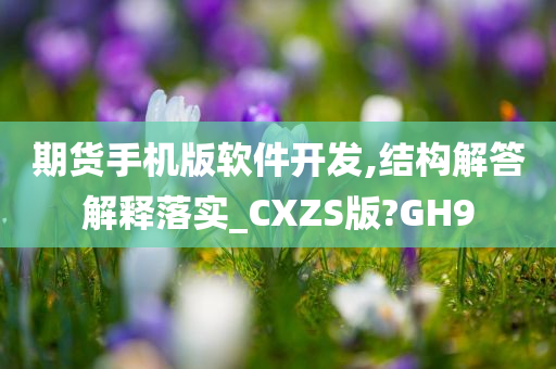 期货手机版软件开发,结构解答解释落实_CXZS版?GH9