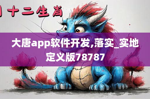 大唐app软件开发,落实_实地定义版78787