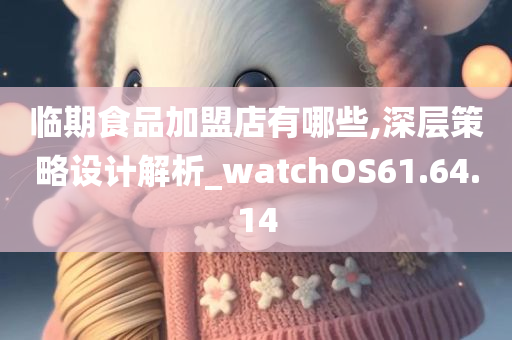 临期食品加盟店有哪些,深层策略设计解析_watchOS61.64.14