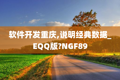 软件开发重庆,说明经典数据_EQQ版?NGF89