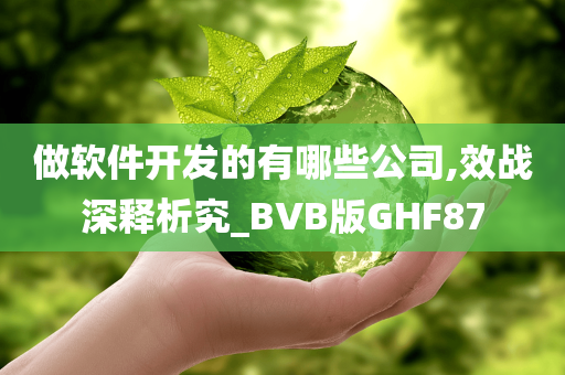 做软件开发的有哪些公司,效战深释析究_BVB版GHF87