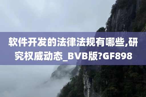 软件开发的法律法规有哪些,研究权威动态_BVB版?GF898