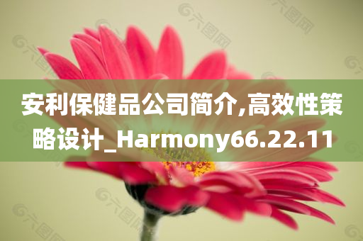 安利保健品公司简介,高效性策略设计_Harmony66.22.11